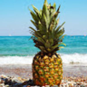 Meet your Posher, Heidi aka pineapple